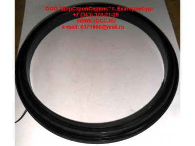 Сальник 165х195х16 балансира DF DONG FENG (ДОНГ ФЕНГ) 29ZB3-04084  для самосвала фото 1 Братск