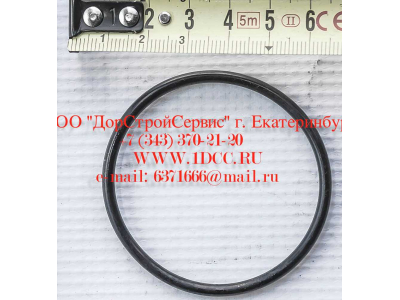 Кольцо уплотнительное ø346х3.5 гидромуфты ГТР CDM 855, 843 Lonking CDM (СДМ) 402236 фото 1 Братск